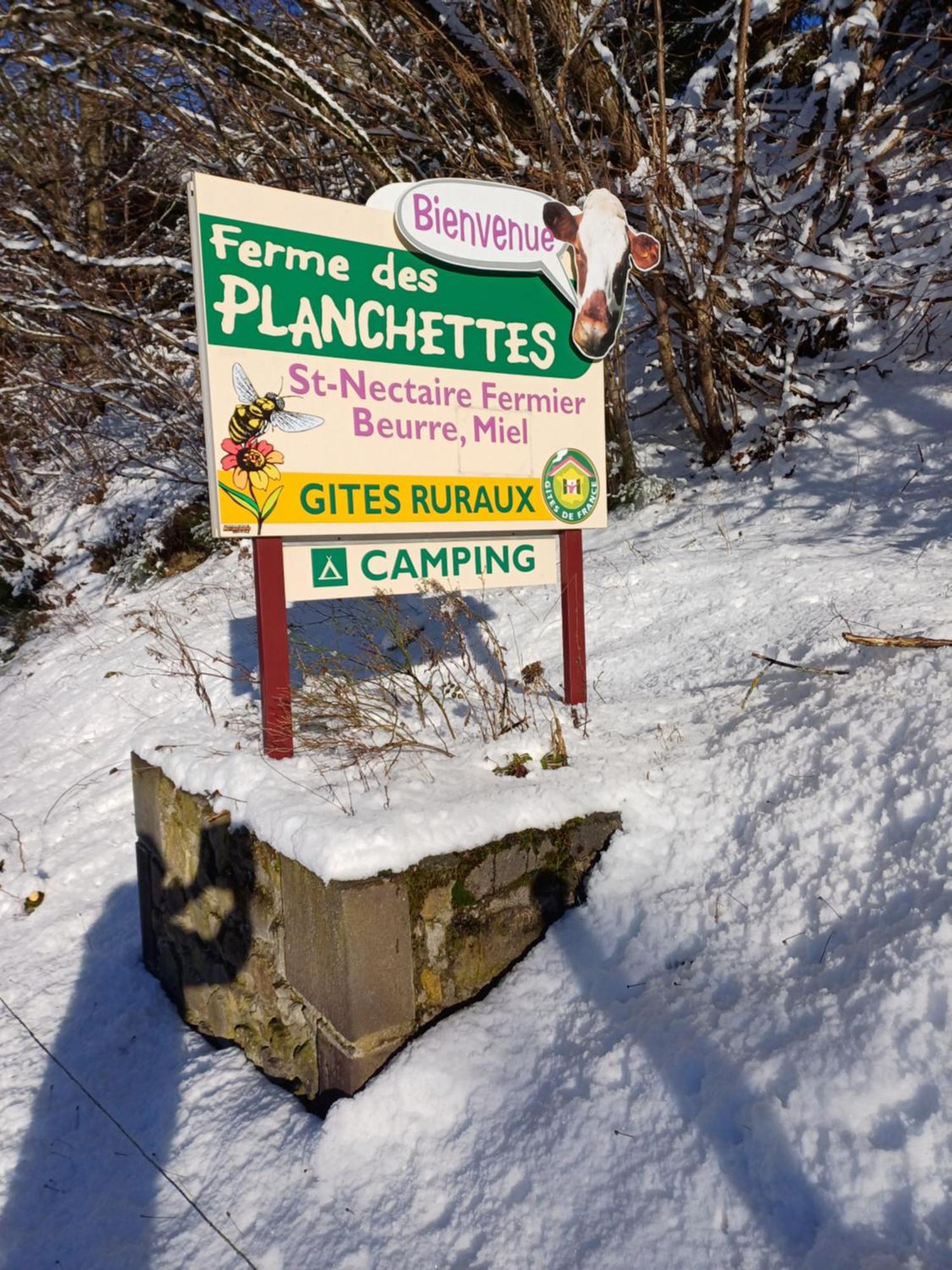 Villa Les Planchettes Orcival Exterior foto